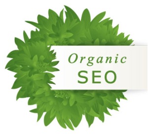 Hire Professional SEO Expert to Create a Strong Online Presence